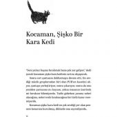 MARTIYA UÇMAYI ÖĞRETEN KEDİ - 5