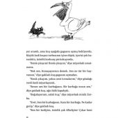 MARTIYA UÇMAYI ÖĞRETEN KEDİ - 9