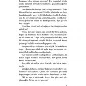 MARTIYA UÇMAYI ÖĞRETEN KEDİ - 10