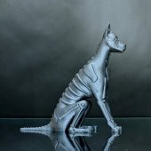 Şeker Köpeği Plastik Aparat - 3
