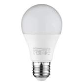 HOROZ ELECTRIC PREMIER-9  9 WATT E27 8400K BEYAZ LED AMPUL - 1