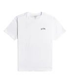 Billabong C1SS65BIP2 Arch Wave Erkek Tişört - 2