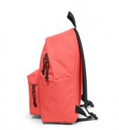 Eastpak Padded Pakr® Re-Built P1136 Sırt Çantası - 3