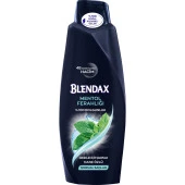 Blendax Men Mentollü 500 Ml 2792063 - 1