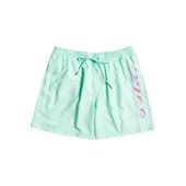 Quiksilver EQYJV03987 Vert 16 M Jamv Erkek Şort Mayo - 1