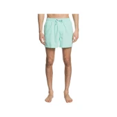 Quiksilver EQYJV03531-GCZ0 Everyday 15 M Jamv Erkek Şort Mayo thumbnail 4