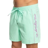 Quiksilver EQYJV03987 Vert 16 M Jamv Erkek Şort Mayo - 5