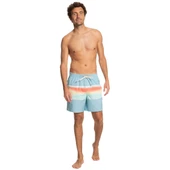 Quiksilver EQYJV04011 Air-Brush 17Nb M Jamv Erkek Şort Mayo - 5