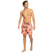 Quiksilver EQYJV04002 Mix 17 M Jamv Erkek Şort Mayo thumbnail 5