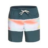 Quiksilver EQYJV04011 Air-Brush 17Nb M Jamv Erkek Şort Mayo thumbnail 1