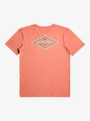 Quiksilver EQYZT07263 Quikwords M Tees Erkek Tişört thumbnail 2