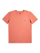 Quiksilver EQYZT07263 Quikwords M Tees Erkek Tişört thumbnail 1