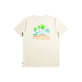 Quiksilver EQYZT07252 Pastimeparadise M Tees Erkek Tişört - 3