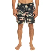 Quiksilver EQYJV04002 Mix 17 M Jamv Erkek Şort Mayo thumbnail 2