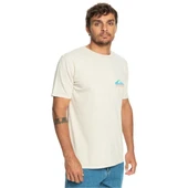 Quiksilver EQYZT07252 Pastimeparadise M Tees Erkek Tişört - 4