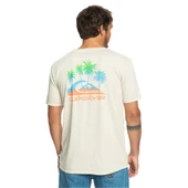 Quiksilver EQYZT07252 Pastimeparadise M Tees Erkek Tişört - 6