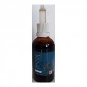 İmmumax Doğal Alkolsüz Bitkisel Ekstrakt Damla 50 ML - 2