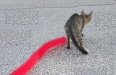 Kedi Tırmalama Fırçası - Kedi Oyuncağı - 5