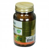 Shiffa Home Fitoks Yeşil Çay Yaprağı Ekstresi Diyet Takviyesi 850 Mg x 60 Kapsül - 2