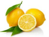 Limon Bonesi / 250 Adet / Bitki Çayı Bonesi - 2
