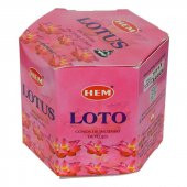 Nilüfer Kokulu 40 Konik Tütsü - Lotus - 10
