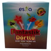 Fantastik Dörtlü Bitkisel Yaz Çayı 45 Süzen Poşet - 4
