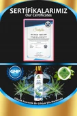 Aloe Vera Şampuan 400 ML (SLS-SLES-Alkol-Paraben İçermez) - 3