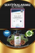 Çam Sıvı Sabunu 500 ML (SLS-SLES-Alkol-Paraben İçermez) - 3