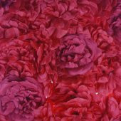 40x60cm Çiçek Panosu Panel (0,24m2) Şakayık Çiçekli - 8