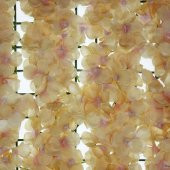 40x60cm Çiçek Panosu Panel (0,24m2) Ortanca Çiçekli - 2
