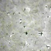 40x60cm Çiçek Panosu Panel (0,24m2) Ortanca Çiçekli - 8