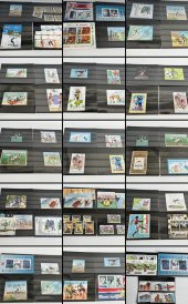 Olimpiyat ve Spor Temalı Posta Pulu Lotu 240 Adet B001 thumbnail 1