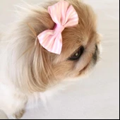 TOKA by Kemique  Stripe Serisi  PEMBE Köpek Tokası - 1