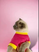 Annelere Hediye, Hediye Paketli, I Love Mom Pink, Oval Yaka Tişört Kedi Kıyafeti,Elbisesi Anneler Günü, Anne thumbnail 7