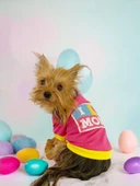 Hediye Paketli, Anneler Günü, I Love Mom Pink,Oval Yaka Tişört Köpek Kıyafeti,Elbisesi Anneler Günü, Anneye, Anne - 1