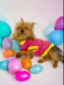 Hediye Paketli, Anneler Günü, I Love Mom Pink,Oval Yaka Tişört Köpek Kıyafeti,Elbisesi Anneler Günü, Anneye, Anne - 8