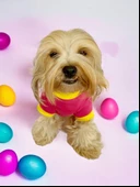 Hediye Paketli, Anneler Günü, I Love Mom Pink,Oval Yaka Tişört Köpek Kıyafeti,Elbisesi Anneler Günü, Anneye, Anne - 6