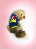 Hediye Paketli, Anneye Hediye, Love Mom Neon, Oval Yaka Tişört Köpek Kıyafeti,Elbisesi, Anneler Günü, Anne - 1