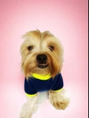 Hediye Paketli, Anneye Hediye, Love Mom Neon, Oval Yaka Tişört Köpek Kıyafeti,Elbisesi, Anneler Günü, Anne - 5