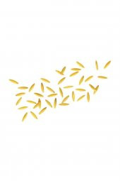 Arpa Şehriye/ Risoni 500 gr - 2