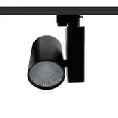 30W RAY SPOT - 2