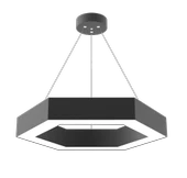 ALTIGEN LINEER SARKIT - 2