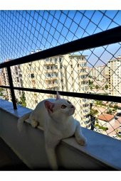 KADİRTARIM 3 X 25 METRE KEDİ KORUMA FİLESİ BALKON FİLESİ 2 MM KEDİ GÜVENLİK FİLESİ BEBEK GÜVENLK FİLESİ - 1