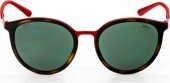 Polo Ralph Lauren PH3104 931571 50 Unisex Güneş Gö - 2