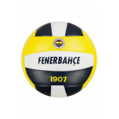 Fenerbahçe Voleybol Topu no:5 - 2