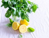 BAHÇEVİLYA  Limon Fesleğen Tohumu 100 Adet - 1