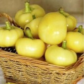 Misket Biberi (50 Adet) İKİ PAKET - 1