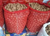 SOĞAN ÇUVALI (25 KİLOLUK) 1000 ADET 45*75 - 2
