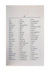 İmla Kılavuzu ve Yazım Kılavuzu 303 Sayfa 11x16 cm 1 Adet İmla Klavuzu ve Yazım Klavuzu - 2