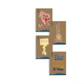 GIPTA CRAFT NOTES SP SERT KAPAK 100 YP KARELİ - 1